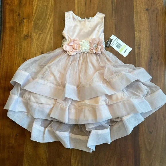 open lace back dress Rare Editions Sleevless Sequin Party Dress SIZE 18 MONTHS Finer Things  Resale main image 1